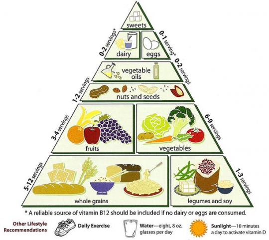 18. Vegetariánská pyramida výživy