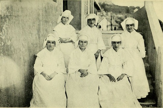 5. History of nursing