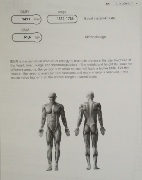 6. Basal metabolic age in comparison to metabolic age