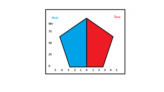 5. Věková pyramida 3