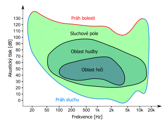 5. Sluchové pole [11]