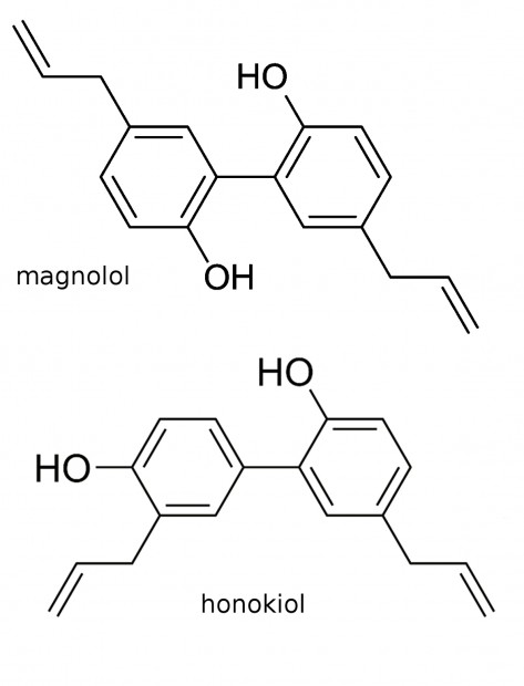 20. Struktura magnololu a honokiolu