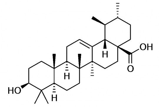 22. Struktura ursolové kyseliny