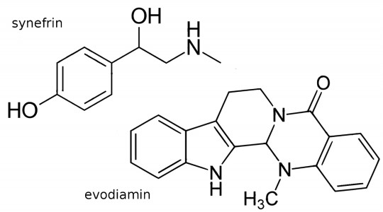 27. Struktura synefrinu a evodiaminu