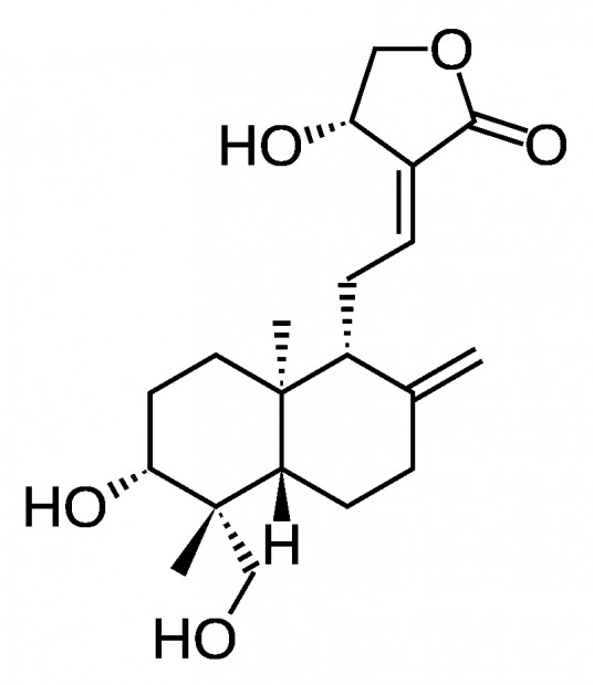 28. Struktura andrografolidu