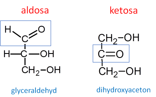 14. Aldosa a ketosa