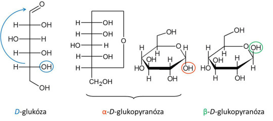 Vzorec glukózy (lineární a cyklický; vysvětlení pojmů viz výuka biochemie)