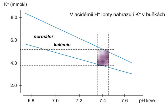 Závislost koncentrace kalia v plazmě na pH krve